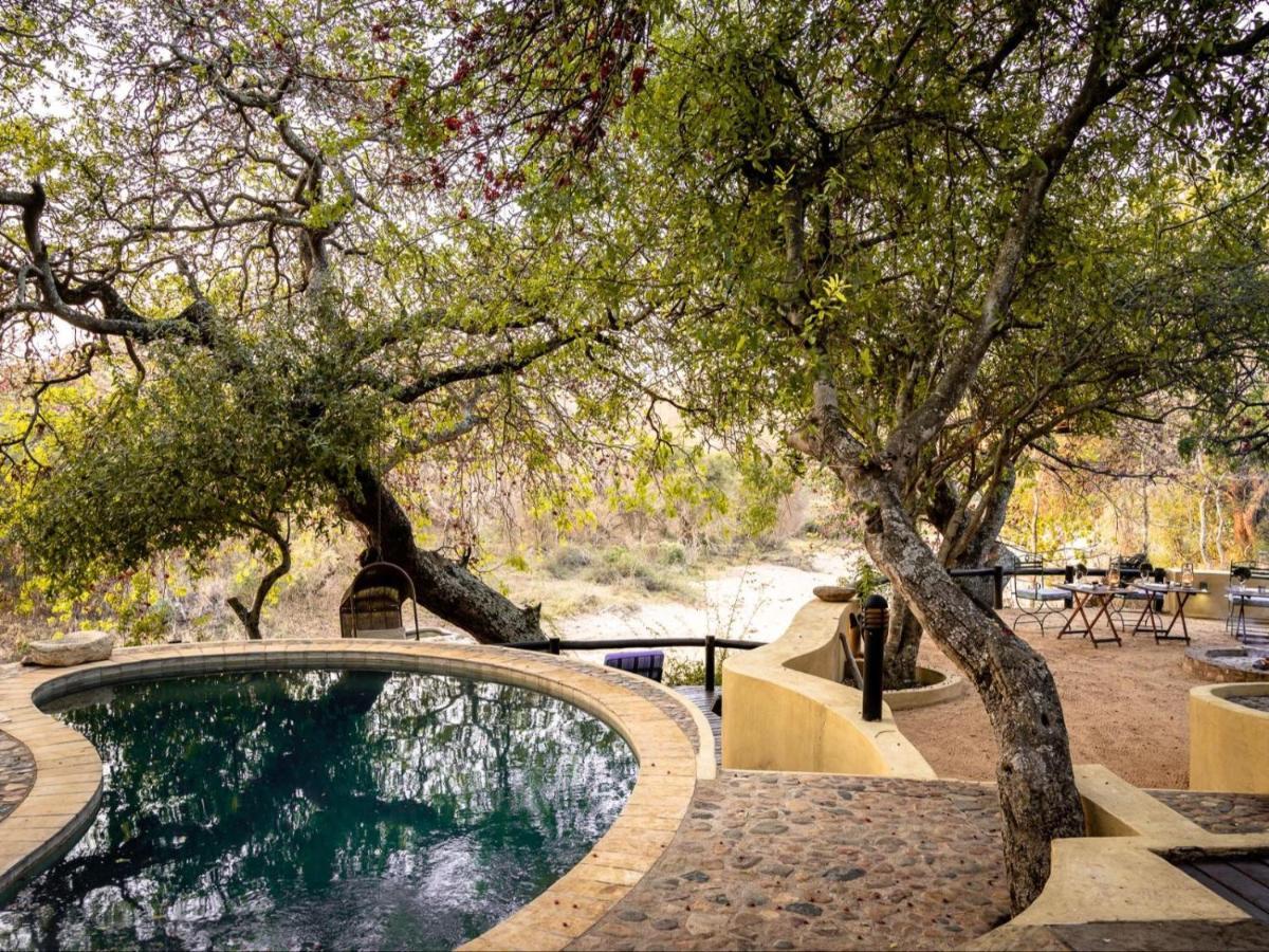 Shimungwe Lodge, Thornybush Game Reserve Hoedspruit Extérieur photo